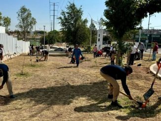 Invita Instituto de Convivencia y Desarrollo Línea Verde a nueva reforestación comunitaria