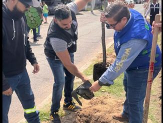Pone en marcha Municipio el Programa "Aguas con tu árbol" en el fraccionaniento Guadalupe Peralta