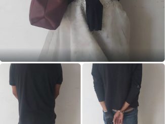 Policía Municipal detiene a tres personas por robo en zona centro