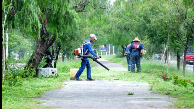 Municipio de Aguascalientes inicia la semana con limpieza intensiva en camellones