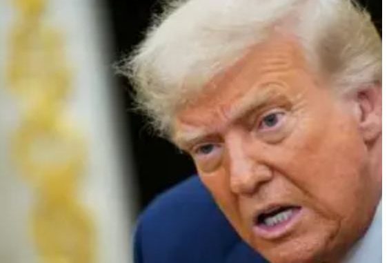 '¡Ya no quiero su apoyo!': Trump a sus seguidores que lo critican por caso Epstein