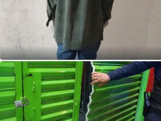 Policía Municipal detiene a sujeto señalado de daños a la propiedad privada