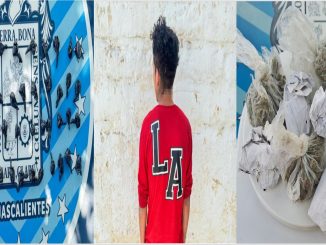 En poder de 46 envoltorios de piedra y 7 más de hierba verde es detenido por la Policía Estatal presunto distribuidor de sustancias al parecer ilícitas