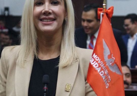 Aprueba el Congreso por Unanimidad exhorto presentado por Dany López para humanizar el Buró de Crédito en México