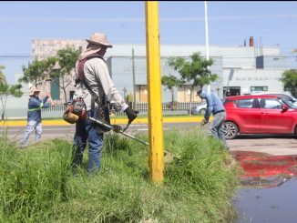 Avanza Municipio de Aguascalientes en limpieza de segundo anillo