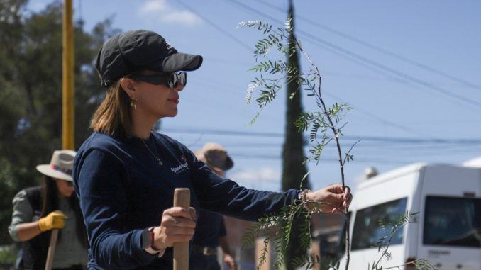 "Aguas con tu Árbol", más árboles para un entorno más verde