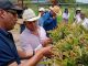Seguimos construyendo juntos soluciones para el campo: Kristian Vera