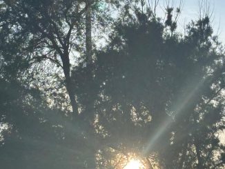 Buen Día...!!