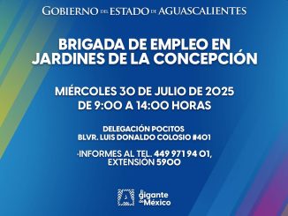 Asiste a la Brigada de Empleo