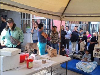 Quirófano veterinario Móvil Municipal llegará a Pocitos y Colinas de Río