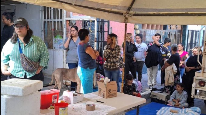Quirófano veterinario Móvil Municipal llegará a Pocitos y Colinas de Río