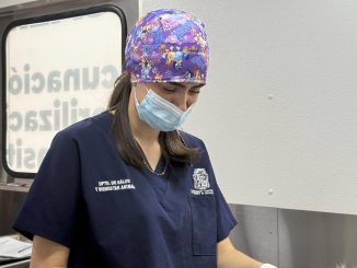 Municipio de Aguascalientes llevará esterilizaciones caninas y felinas a Villa Canto y ladrilleras los Arellano