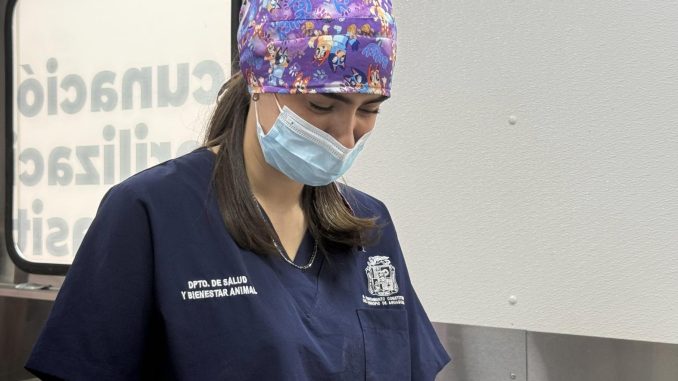 Municipio de Aguascalientes llevará esterilizaciones caninas y felinas a Villa Canto y ladrilleras los Arellano