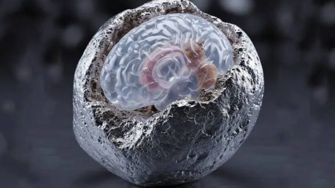 Un mineral en la mira: nuevas pistas para tratar el Alzheimer