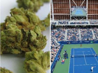 Olor a marihuana, una queja recurrente en el US Open 2025