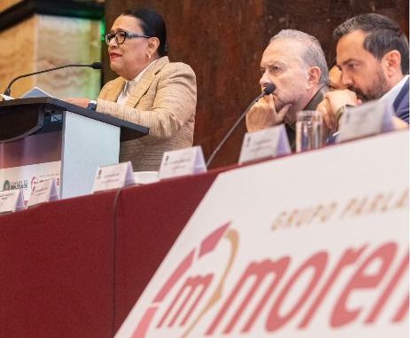 "Austeridad no es un slogan": Rosa Icela Rodríguez a diputados de Morena