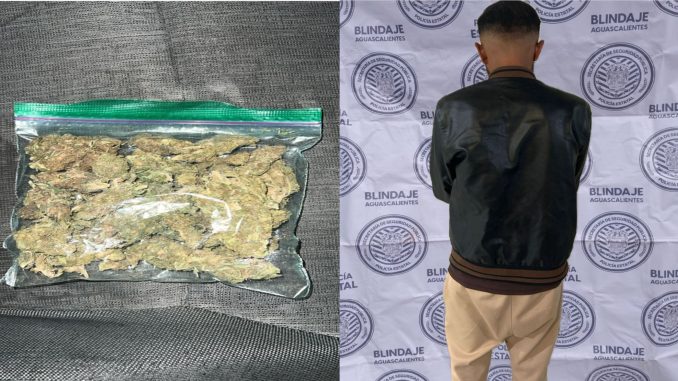 Policías Estatales de Aguascalientes detienen a sujeto en poder de una bolsa que contenía hierba verde al parecer marihuana