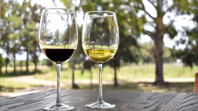 Haz crecer tu Marca, participa en el Gourmet Show 2025; regístrate antes del 11 de agosto