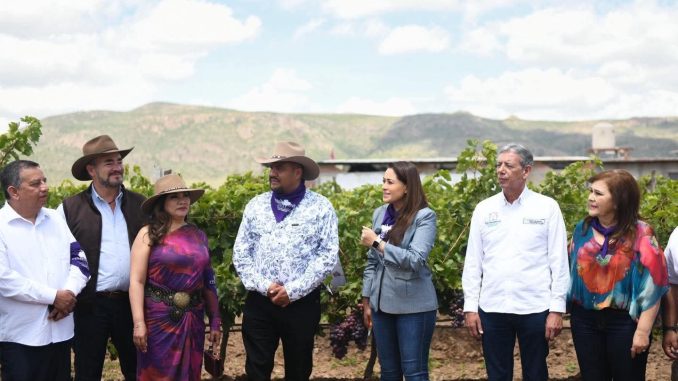 Gobernadora Tere Jiménez encabeza el Primer Festival de la Uva en Cosío