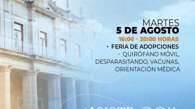 Este 5 de agosto te esperamos en la Feria de Adopciones
