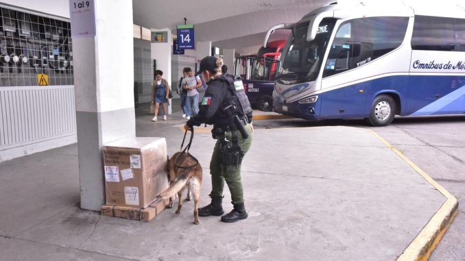 Refuerza vigilancia en la central de autobuses para Seguridad de las y los viajeros
