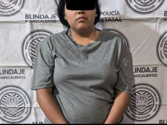 Policías Estatales detienen a una Mujer por lesiones