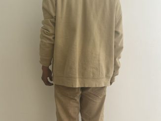 Policías Estatales de Aguascalientes detienen a sujeto que tripulaba una motocicleta sin placas de circulación y permiso para circular sin placas apócrifo