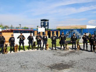 Grupo Especial canino de la Secretaría de Seguridad Pública del Estado de Aguascalientes recibe entrenamiento Internacional