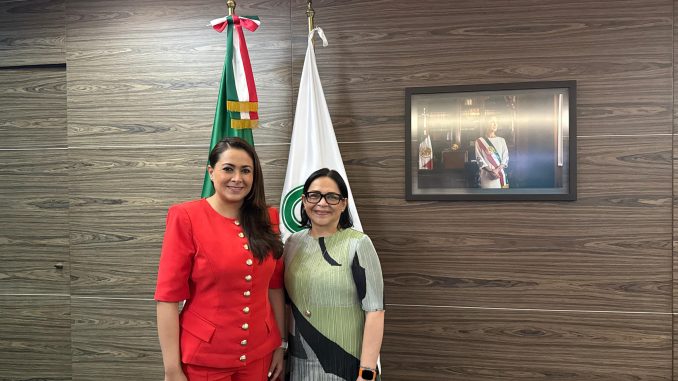 Se reúne Gobernadora Tere Jiménez con Directora de la Comisión Federal de Electricidad Emilia Esther Calleja Alor