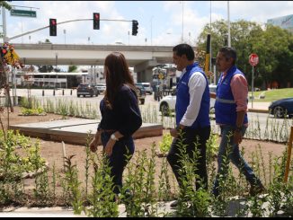 Encabeza Leo Montañez arborización en el Parque del Papa