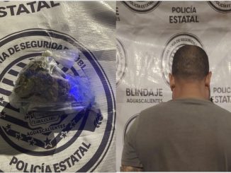 Policías Estatales de Aguascalientes detienen a sujeto en poder de un envoltorio con hierba verde al parecer marihuana