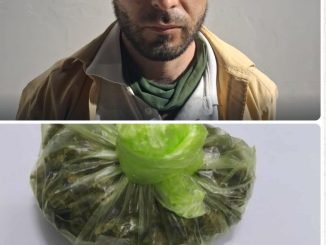 Policía Municipal detiene a sujeto en posesión de enervantes