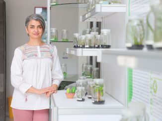 IA en la biología y alimentos funcionales en la salud mental, en el 15 aniversario de la Licenciatura en Biotecnología de la UAA