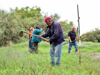 Más de 14 mil familias y sus comunidades se han visto beneficiadas con el Programa de Empleo Temporal