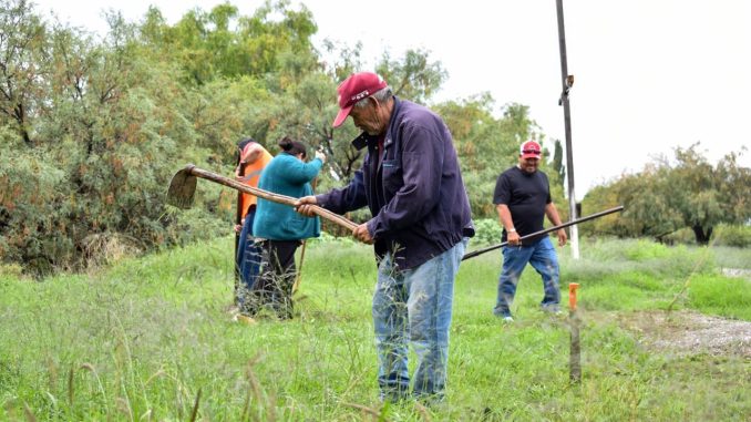 Más de 14 mil familias y sus comunidades se han visto beneficiadas con el Programa de Empleo Temporal