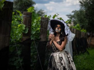 🎊 𝐀guascalientes, Tierra de Catrinas: Vive el Festival más esperado"💀