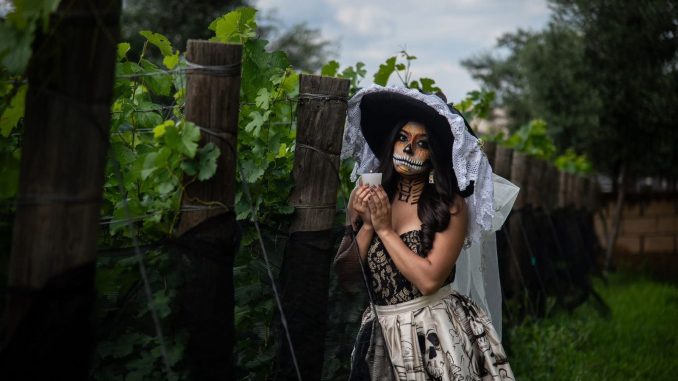 🎊 𝐀guascalientes, Tierra de Catrinas: Vive el Festival más esperado"💀