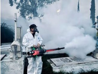Gobierno del Estado implementa operativo especial en panteones por Día de Muertos para prevenir el Dengue