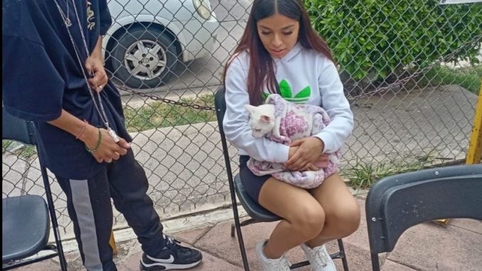 Llevarán nueva Campaña de esterilización canina y felina gratuita al sur de la ciudad
