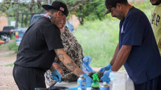 Llegará el Quirófano Veterinario Móvil al fraccionamiento Palomino Dena y Norias de Paso Hondo