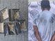 Policías Estatales detienen a un sujeto que tenía en su poder 5 bolsas con sustancia granulada al parecer cristal