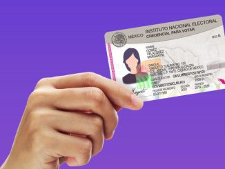Implementa INE plan emergente para recuperar Credenciales para Votar en zonas afectadas por graves inundaciones