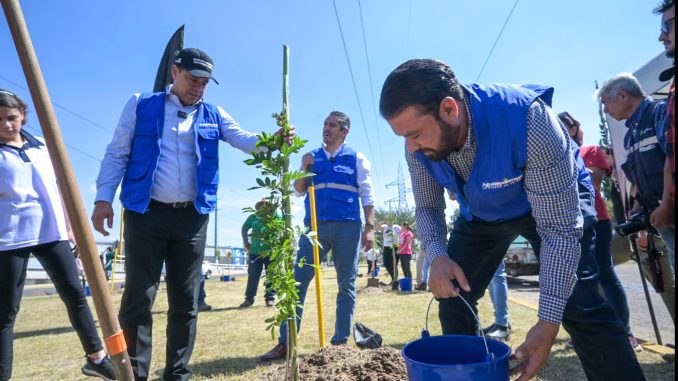 A través del Programa "El árbol de mi Casa", se realiza nueva Jornada de arborización