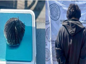 Policías Estatales de Aguascalientes detienen a sujeto por la posesión de un envoltorio con sustancia granulada al tacto