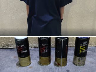 Un sujeto fue detenido por la Policía Municipal tras dañar la estética urbana