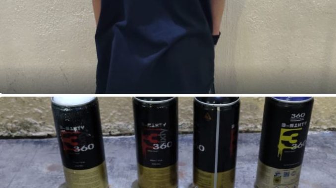 Un sujeto fue detenido por la Policía Municipal tras dañar la estética urbana