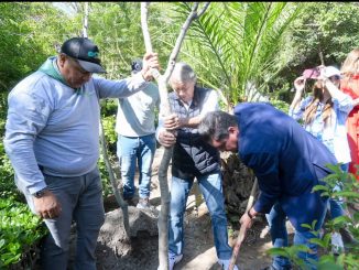 Municipio planta árboles emblemáticos con motivo del 450 Aniversario de la Fundación de la Ciudad