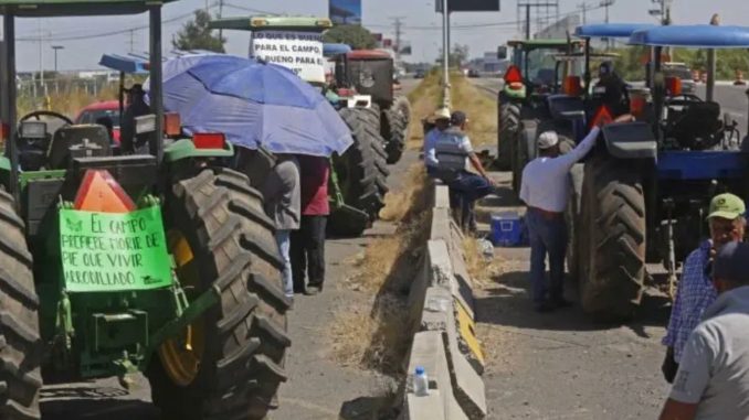 Productores de maíz activan protesta; califican como insulto oferta del gobierno Productores de maíz activan protesta; califican como insulto oferta del gobierno