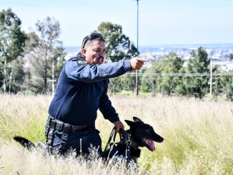 Grupo de Operaciones Especiales K-9, entrenados para intervenciones Policiales de alto impacto