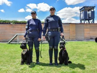 Policía Estatal presenta a sus nuevos Elementos: los cachorros Delta y Ranger se preparan para ser K9